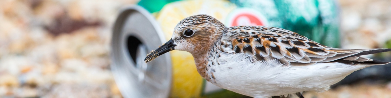 Recycling aluminium